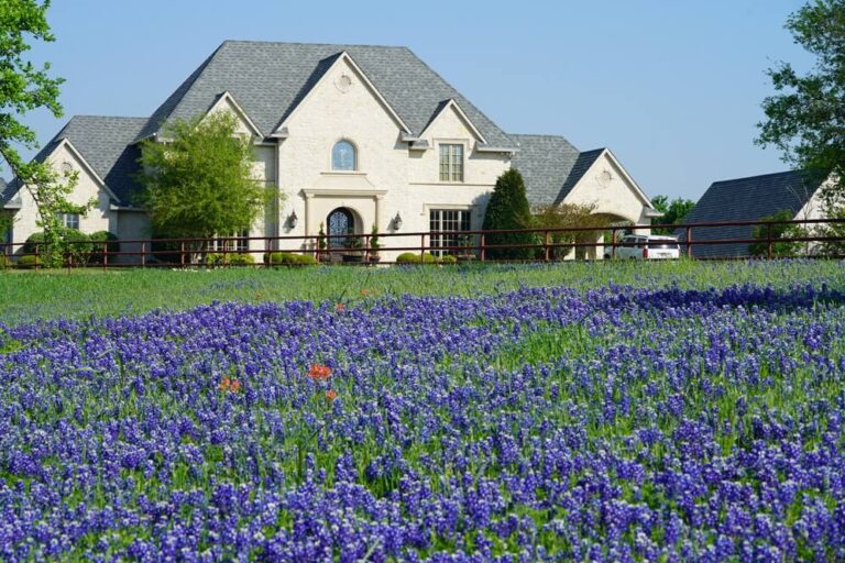 House surrounded by bluebonnet flowers.